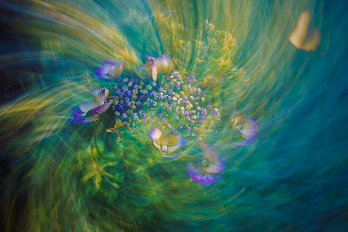 Shape Colours 78A4062